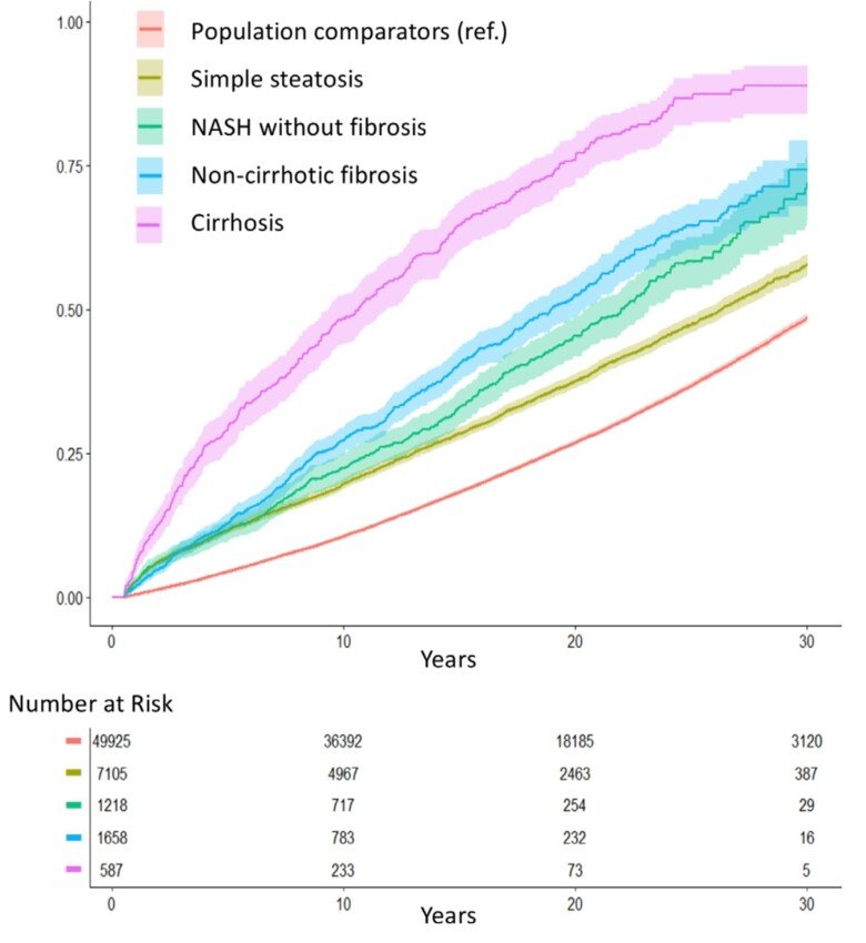 Graf som visar överdödligheten vid olika former av fettleversjukdom
