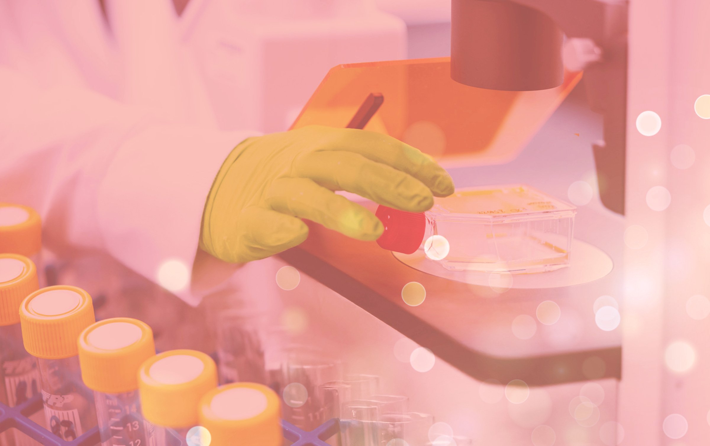 Forskningsbild från labb