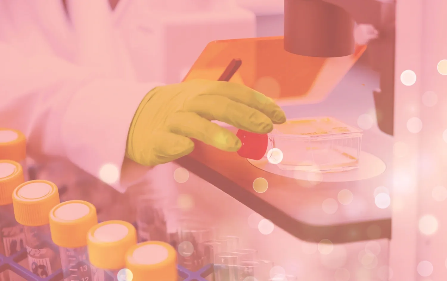 Forskningsbild från labb