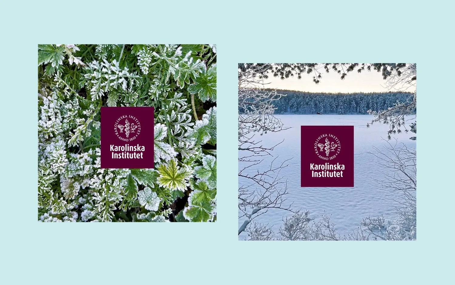 Två julkort. Ett med gröna löv och en landskapsbild.