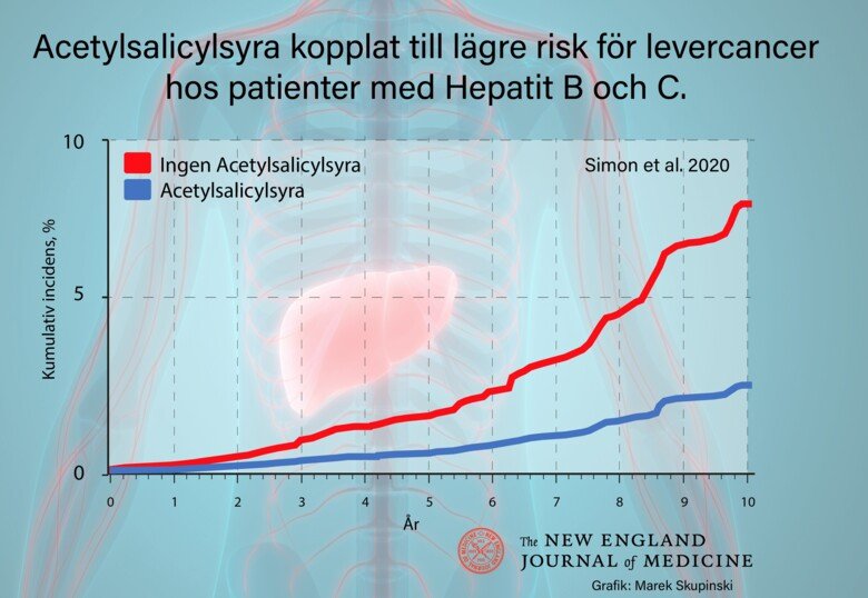 Graphics by Marek Skupinski showing how aspirin use is linked to reduced liver cancer risk among patients with hepatitis B or C