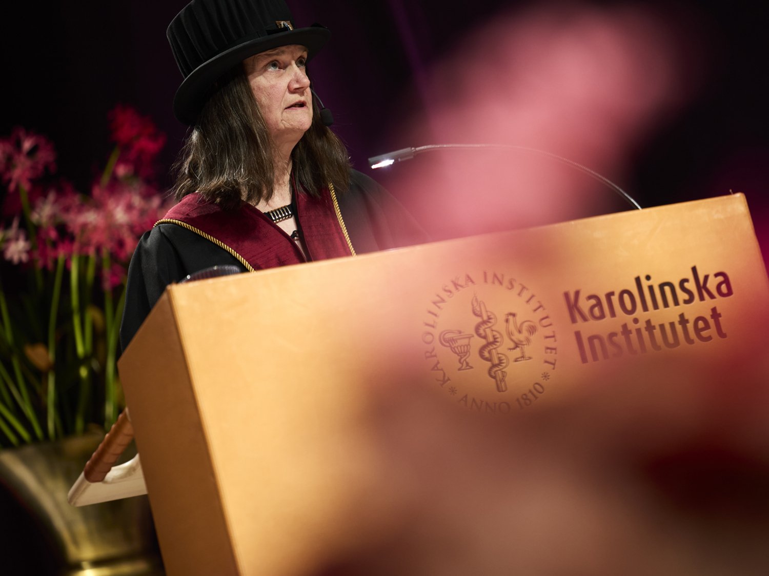 Professorsinstallationen 2025