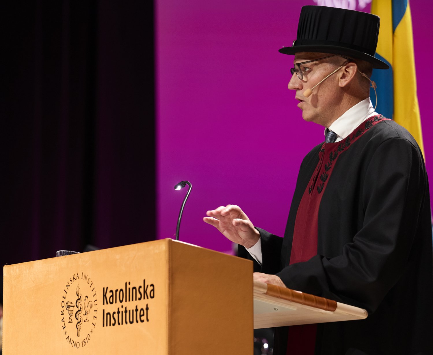 Professorsinstallationen 2025