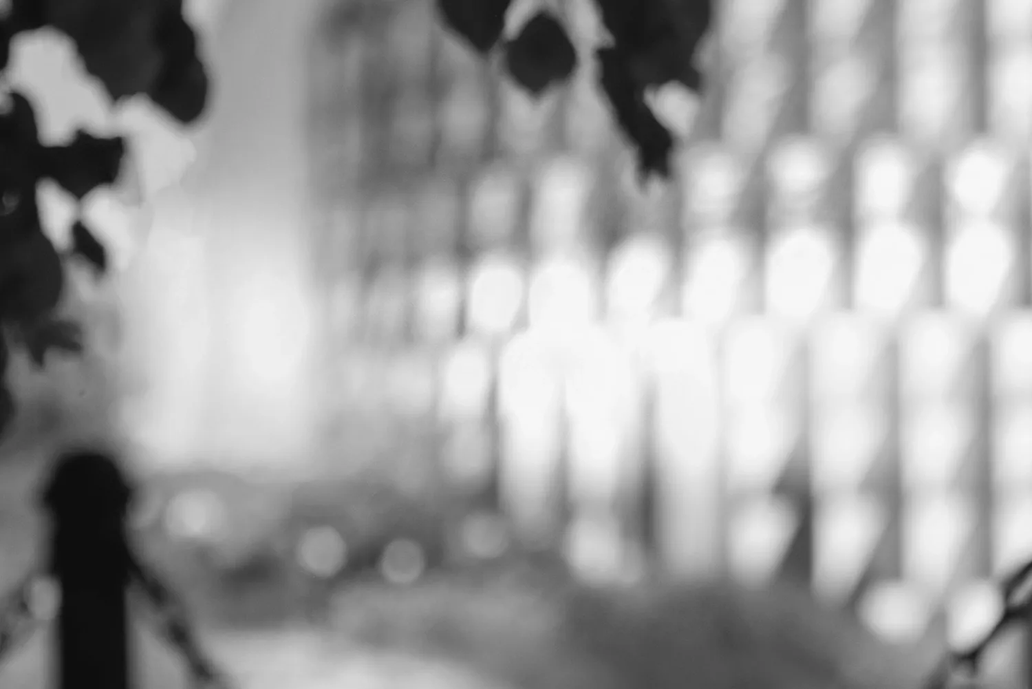 Illustration: Sofia Lindberg