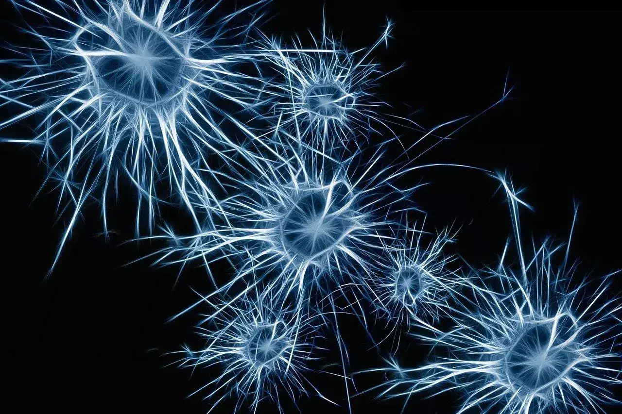 Nervceller i hjärnan, mot mörk bakgrund.
