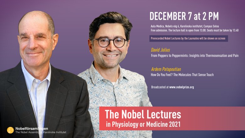 Nobelföreläsningen i fysiologi eller medicin 2021
