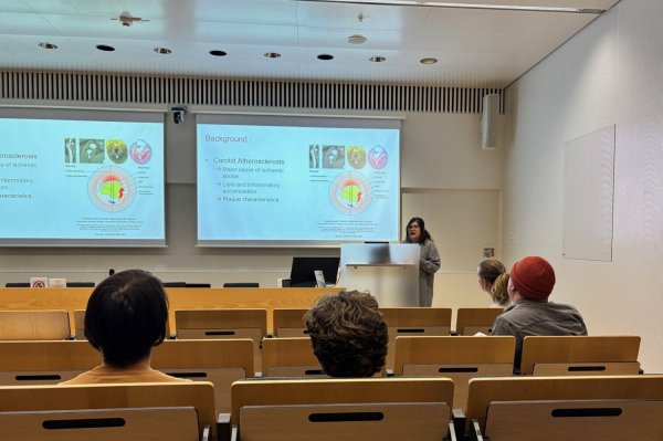 Forskare presenterar sitt projekt