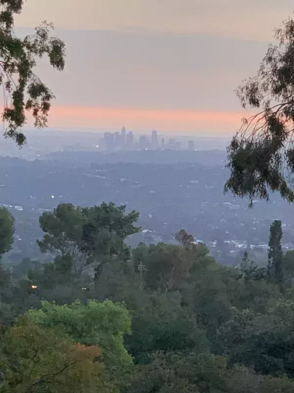 Los Angeles i bakgrunden. Bilden tagen från en höjd med träd i förgrunden.