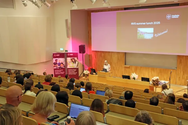 Olika bilder från NVS sommarlunch 2025