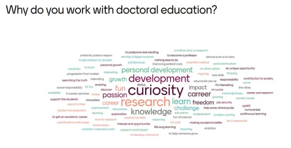 Utvärdering Doctoral Education Day