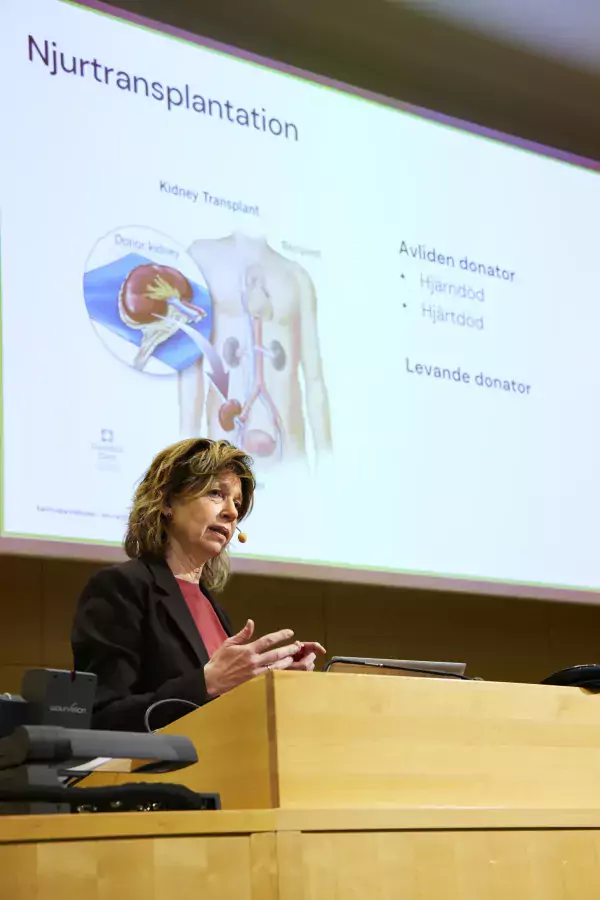 Annika Östman Wernerson föreläser under kursen i patofysiologi.