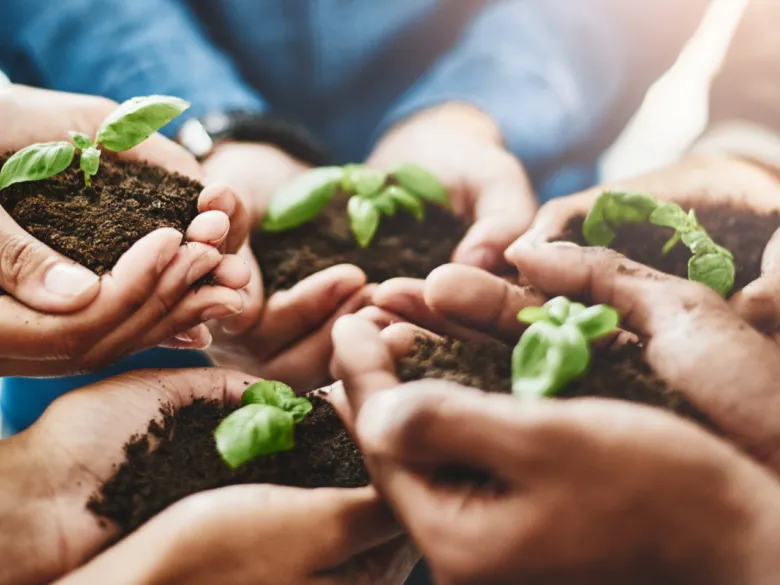 Händer som håller jord och plantor. Genrebild.