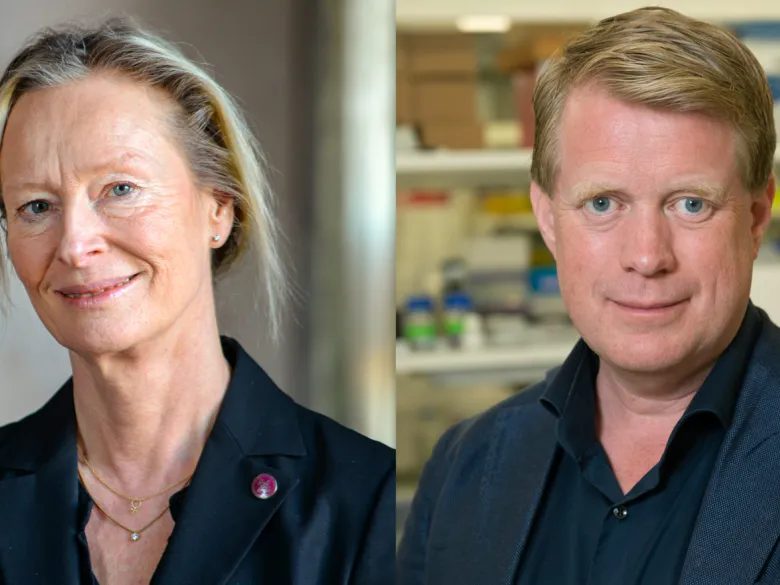 Kristina Gemzell Danielsson och Thomas Helleday.