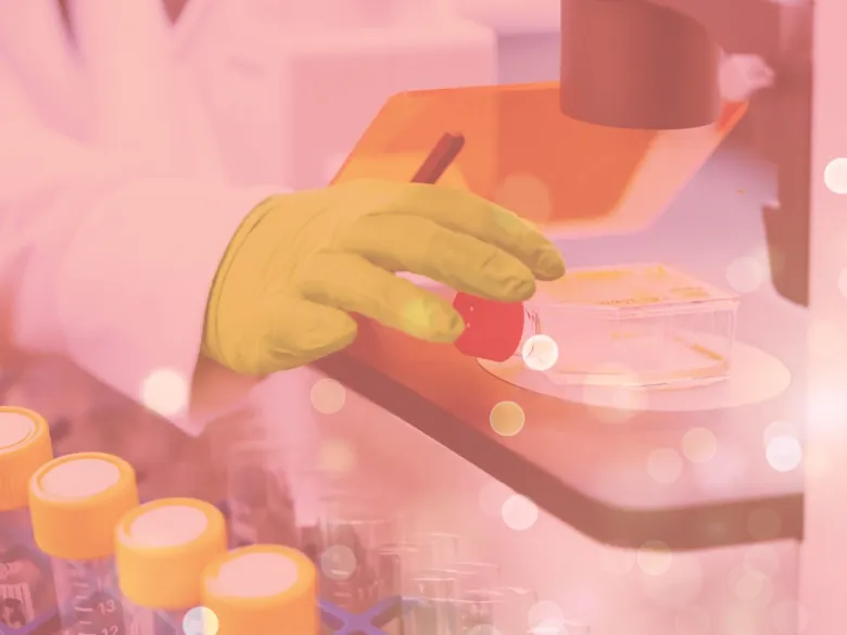 Forskningsbild från labb