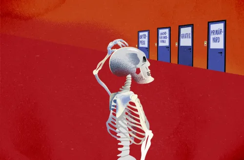 illustration of skeleton