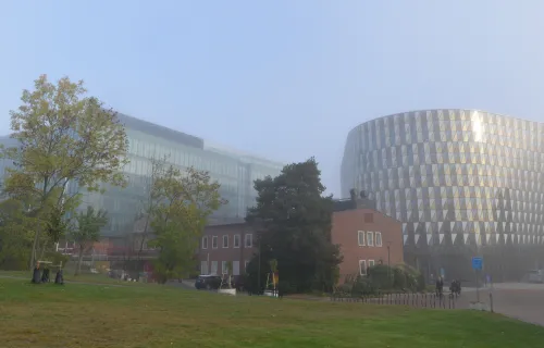 The picture shows buildings on Campus Solna in morning fog.