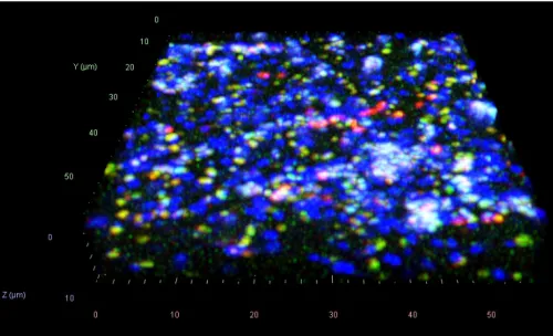 3D observation. Two images with dark background and lighter fields in blue.
