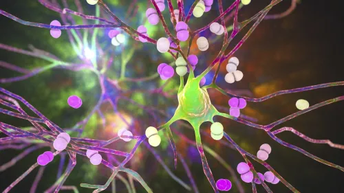Streptococcus pneumoniae bacteria infecting brain cells.