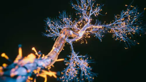3d rendered image of Neuron cell.