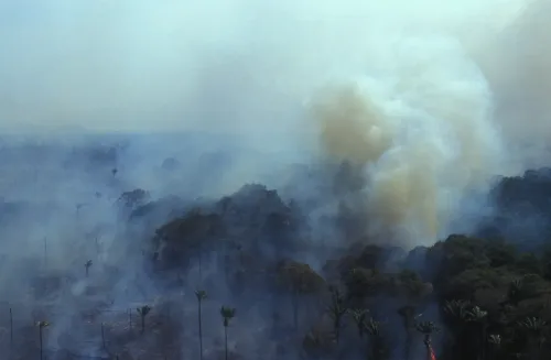 Fire in Amazonas