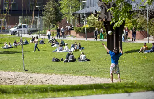 Student and staff at the lawn on campus Solna, playing volleyball and sitting on the grass.