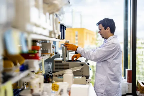 Detail image from lab