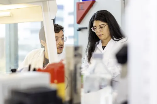 Detail image from lab