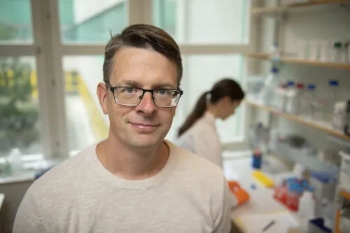 Fredrik Lanner, researcher at the Department of Clinical Science, Intervention and Technology and the Ming Wai Lau Centre for Reparative Medicine at Karolinska Institutet.