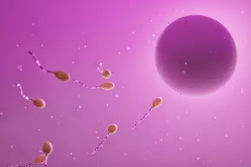 Sperm