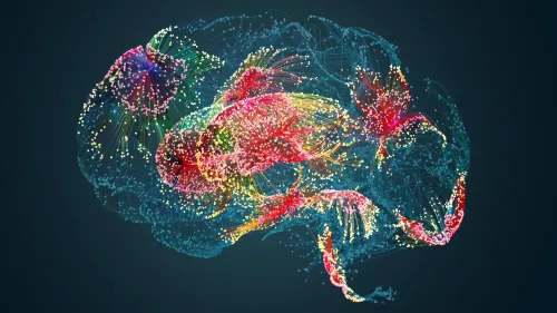 Colourful brain